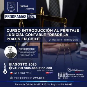 Curso Introducción al Peritaje Judicial Contable